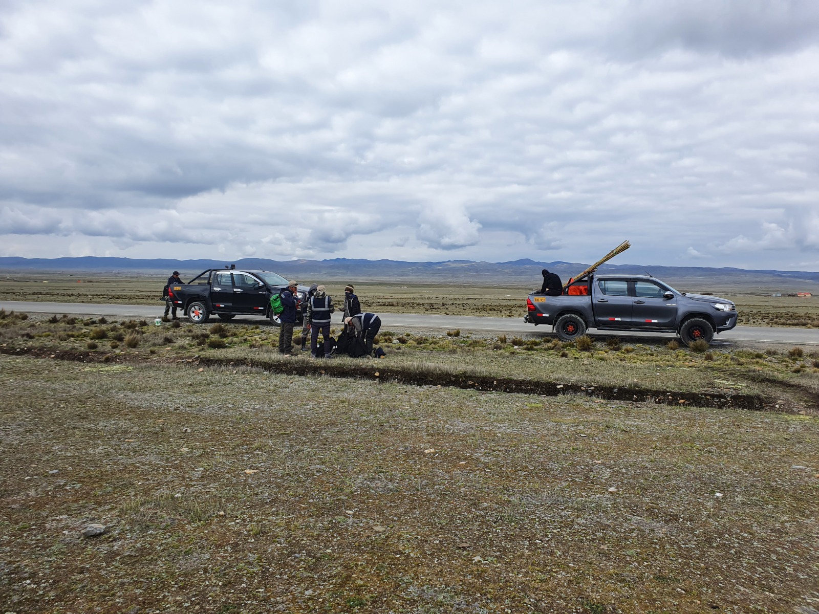 LINEA BASE del proyecto "Línea de transmisión" San GABAN - SICUANI (PUNO-CUSCO)